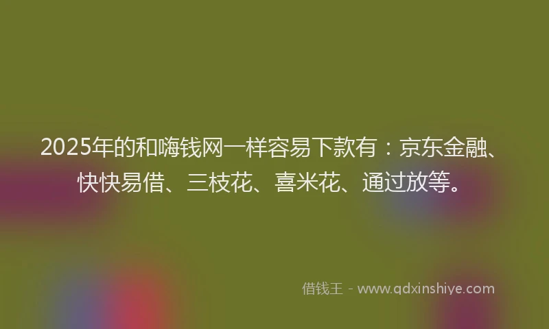 2025年的和嗨钱网一样容易下款有：京东金融、快快易借、三枝花、喜米花、通过放等。