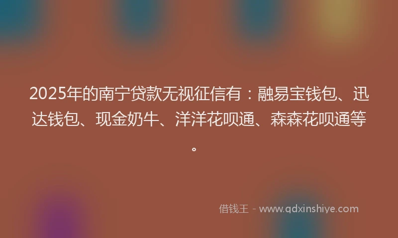 2025年的南宁贷款无视征信有：融易宝钱包、迅达钱包、现金奶牛、洋洋花呗通、森森花呗通等。