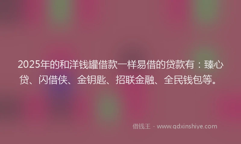 2025年的和洋钱罐借款一样易借的贷款有：臻心贷、闪借侠、金钥匙、招联金融、全民钱包等。