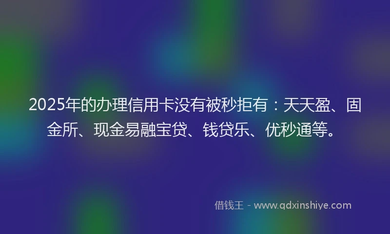 2025年的办理信用卡没有被秒拒有：天天盈、固金所、现金易融宝贷、钱贷乐、优秒通等。