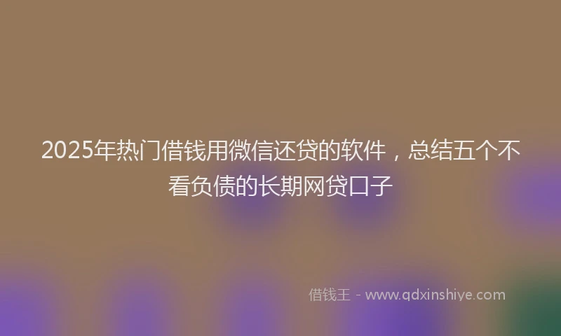 2025年热门借钱用微信还贷的软件，总结五个不看负债的长期网贷口子