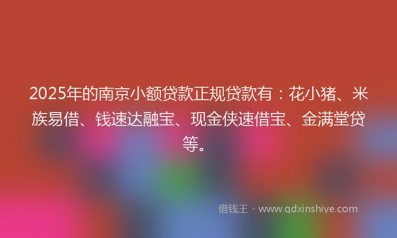 2025年的南京小额贷款正规贷款有：花小猪、米族易借、钱速达融宝、现金侠速借宝、金满堂贷等。