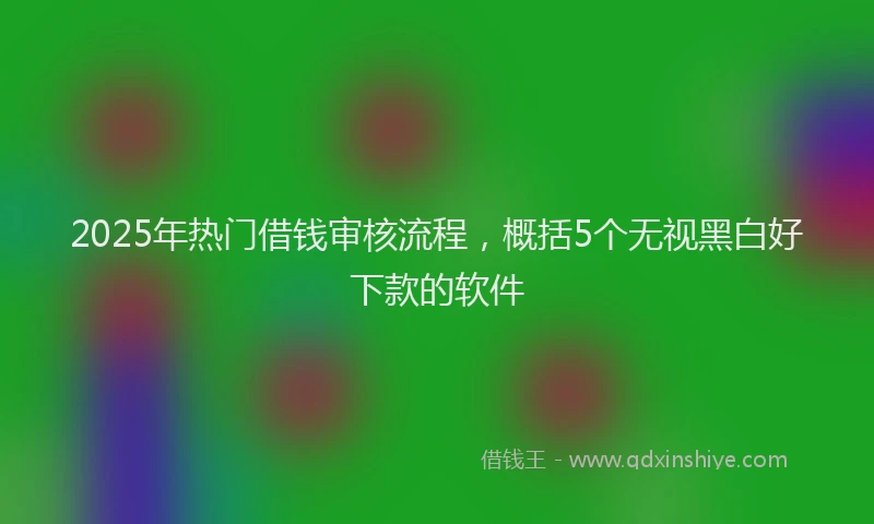 2025年热门借钱审核流程，概括5个无视黑白好下款的软件