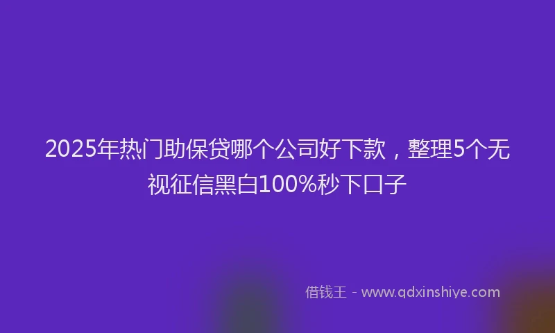 2025年热门助保贷哪个公司好下款，整理5个无视征信黑白100%秒下口子