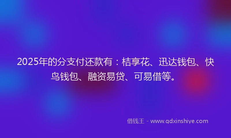 2025年的分支付还款有：桔享花、迅达钱包、快鸟钱包、融资易贷、可易借等。