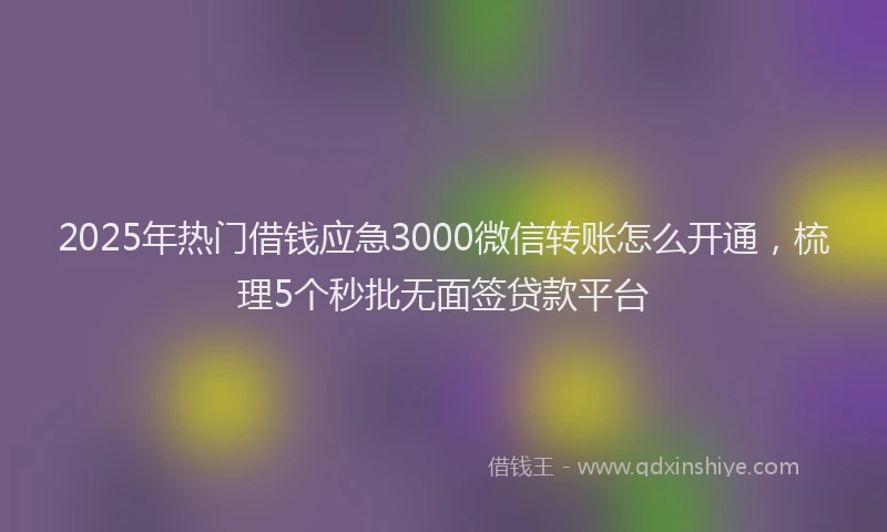 2025年热门借钱应急3000微信转账怎么开通，梳理5个秒批无面签贷款平台