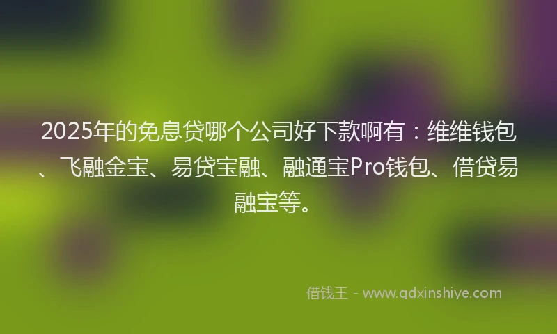 2025年的免息贷哪个公司好下款啊有：维维钱包、飞融金宝、易贷宝融、融通宝Pro钱包、借贷易融宝等。
