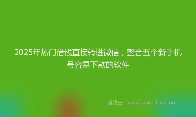 2025年热门借钱直接转进微信，整合五个新手机号容易下款的软件