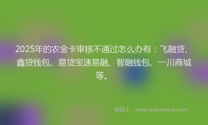 2025年的农金卡审核不通过怎么办有：飞融贷、鑫贷钱包、易贷宝速易融、智融钱包、一川商城等。
