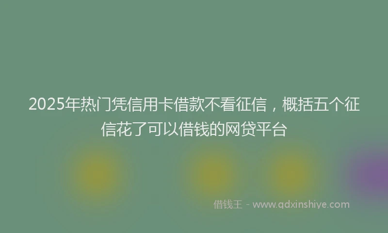 2025年热门凭信用卡借款不看征信，概括五个征信花了可以借钱的网贷平台