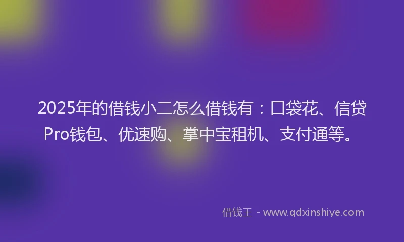 2025年的借钱小二怎么借钱有：口袋花、信贷Pro钱包、优速购、掌中宝租机、支付通等。