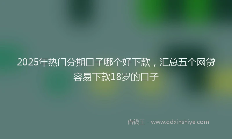 2025年热门分期口子哪个好下款，汇总五个网贷容易下款18岁的口子