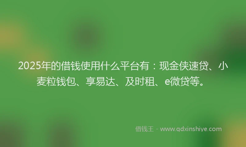 2025年的借钱使用什么平台有：现金侠速贷、小麦粒钱包、享易达、及时租、e微贷等。