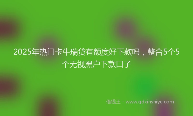 2025年热门卡牛瑞贷有额度好下款吗，整合5个5个无视黑户下款口子
