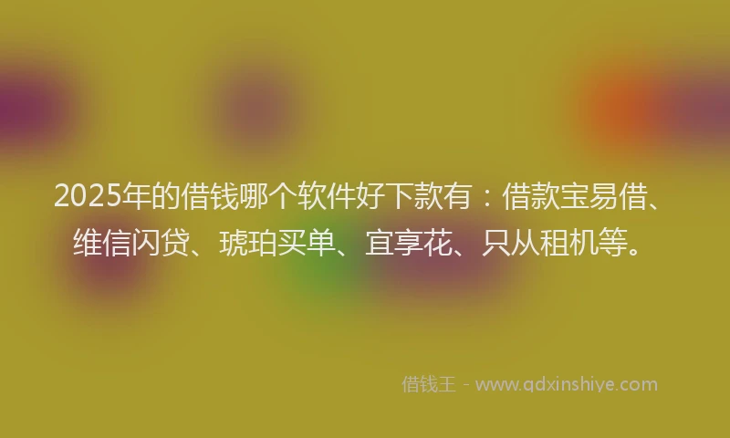 2025年的借钱哪个软件好下款有：借款宝易借、维信闪贷、琥珀买单、宜享花、只从租机等。