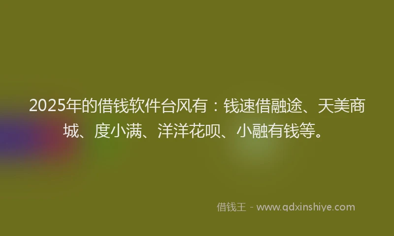 2025年的借钱软件台风有：钱速借融途、天美商城、度小满、洋洋花呗、小融有钱等。