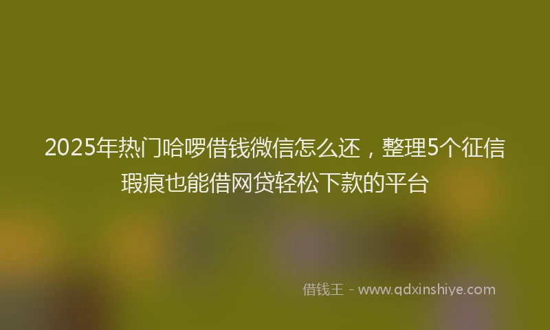 2025年热门哈啰借钱微信怎么还，整理5个征信瑕疵也能借网贷轻松下款的平台