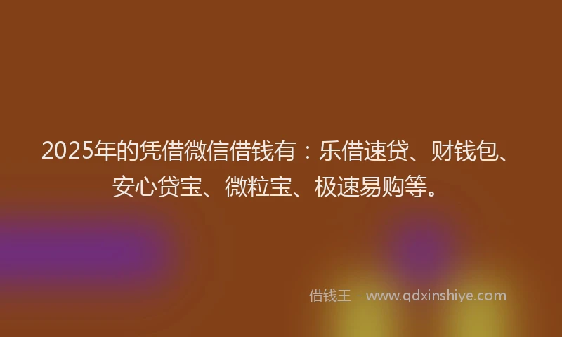 2025年的凭借微信借钱有：乐借速贷、财钱包、安心贷宝、微粒宝、极速易购等。