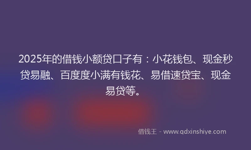 2025年的借钱小额贷口子有：小花钱包、现金秒贷易融、百度度小满有钱花、易借速贷宝、现金易贷等。