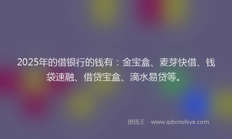 2025年的借银行的钱有：金宝盒、麦芽快借、钱袋速融、借贷宝盒、滴水易贷等。