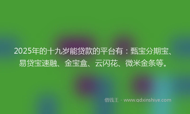 2025年的十九岁能贷款的平台有：甄宝分期宝、易贷宝速融、金宝盒、云闪花、微米金条等。