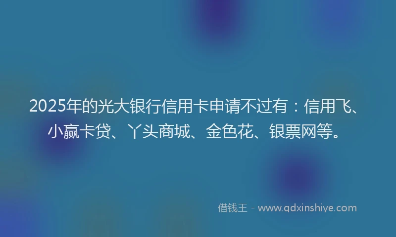 2025年的光大银行信用卡申请不过有：信用飞、小赢卡贷、丫头商城、金色花、银票网等。