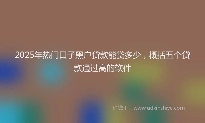 2025年热门口子黑户贷款能贷多少，概括五个贷款通过高的软件