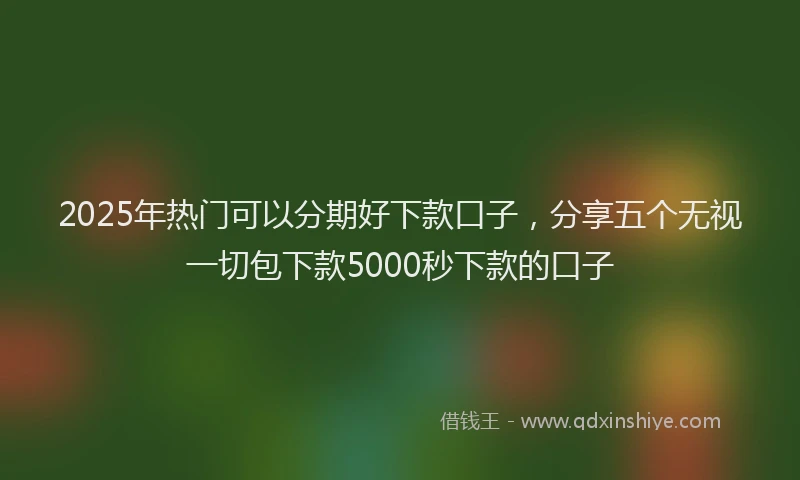 2025年热门可以分期好下款口子，分享五个无视一切包下款5000秒下款的口子