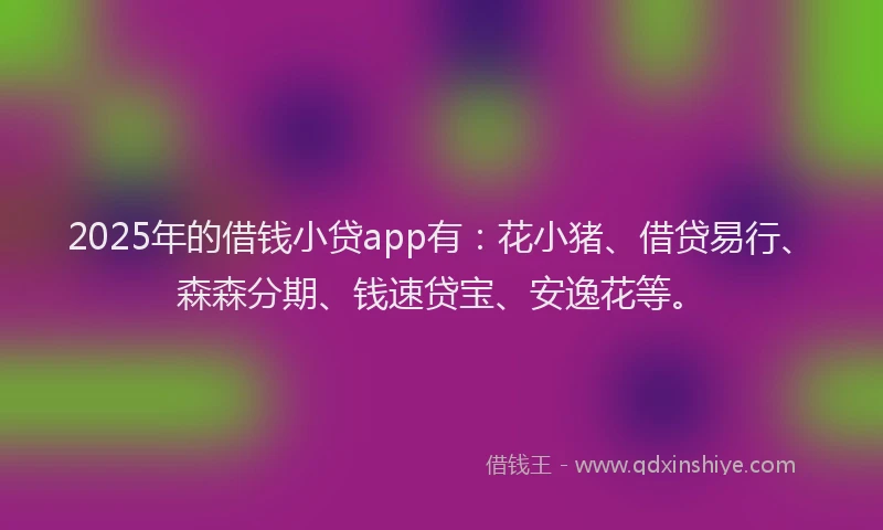 2025年的借钱小贷app有：花小猪、借贷易行、森森分期、钱速贷宝、安逸花等。