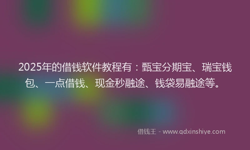 2025年的借钱软件教程有：甄宝分期宝、瑞宝钱包、一点借钱、现金秒融途、钱袋易融途等。