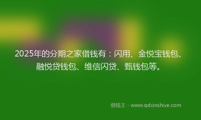2025年的分期之家借钱有：闪用、金悦宝钱包、融悦贷钱包、维信闪贷、甄钱包等。