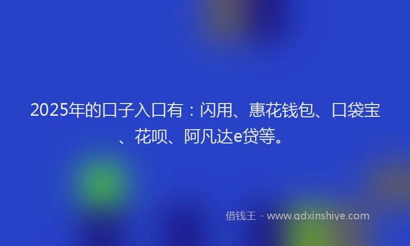2025年的口子入口有：闪用、惠花钱包、口袋宝、花呗、阿凡达e贷等。