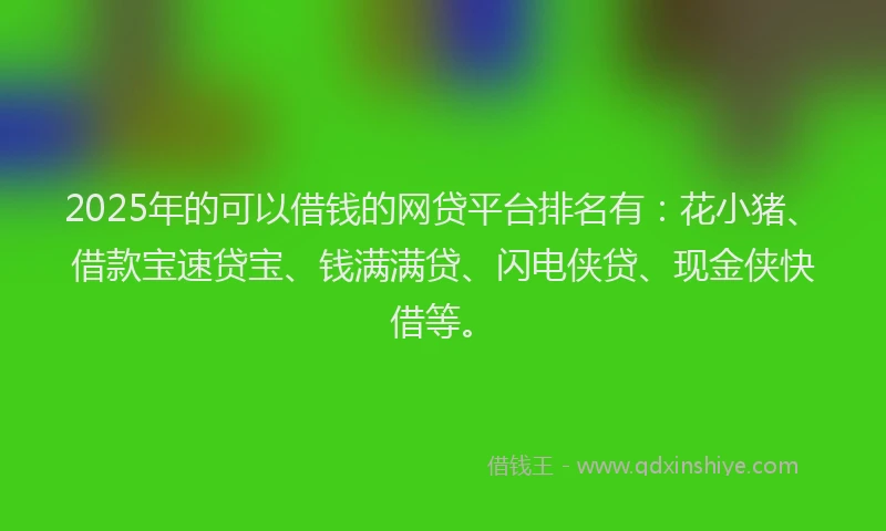 2025年的可以借钱的网贷平台排名有：花小猪、借款宝速贷宝、钱满满贷、闪电侠贷、现金侠快借等。