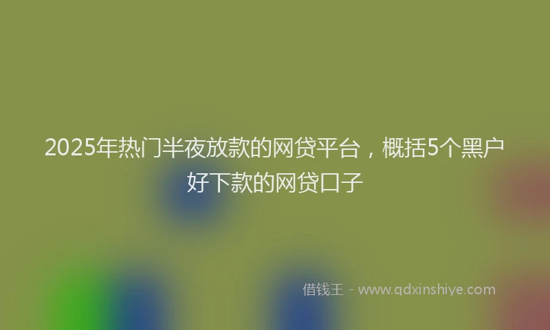 2025年热门半夜放款的网贷平台，概括5个黑户好下款的网贷口子