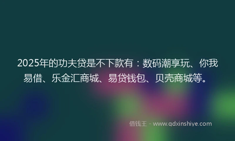 2025年的功夫贷是不下款有：数码潮享玩、你我易借、乐金汇商城、易贷钱包、贝壳商城等。