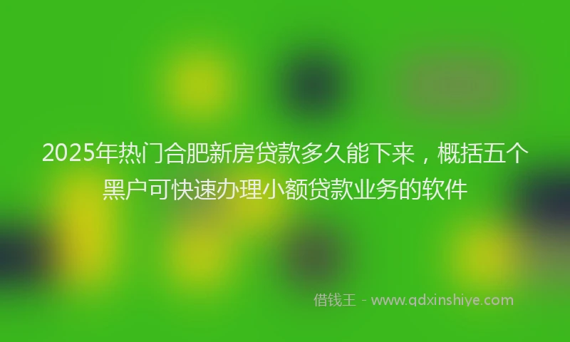 2025年热门合肥新房贷款多久能下来，概括五个黑户可快速办理小额贷款业务的软件