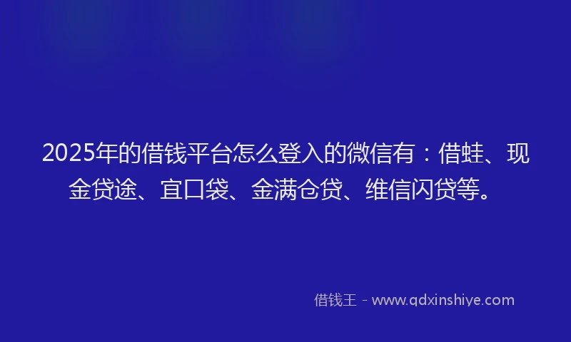 2025年的借钱平台怎么登入的微信有：借蛙、现金贷途、宜口袋、金满仓贷、维信闪贷等。