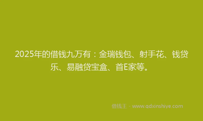 2025年的借钱九万有：金瑞钱包、射手花、钱贷乐、易融贷宝盒、首E家等。