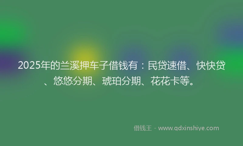 2025年的兰溪押车子借钱有：民贷速借、快快贷、悠悠分期、琥珀分期、花花卡等。
