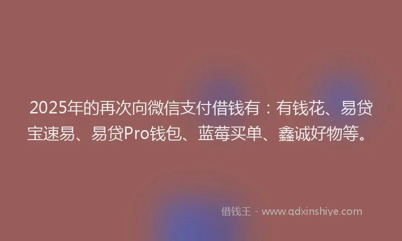 2025年的再次向微信支付借钱有：有钱花、易贷宝速易、易贷Pro钱包、蓝莓买单、鑫诚好物等。
