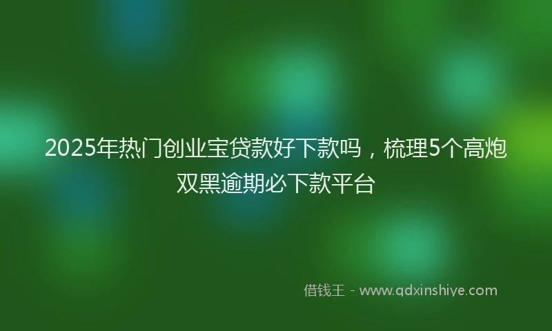 2025年热门创业宝贷款好下款吗，梳理5个高炮双黑逾期必下款平台