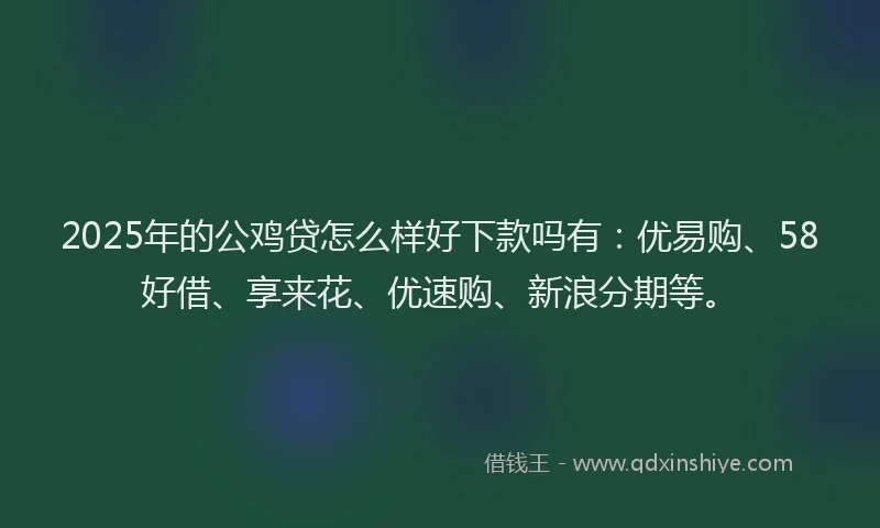 2025年的公鸡贷怎么样好下款吗有：优易购、58好借、享来花、优速购、新浪分期等。