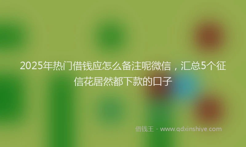 2025年热门借钱应怎么备注呢微信，汇总5个征信花居然都下款的口子