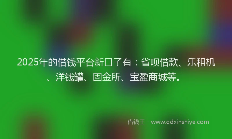 2025年的借钱平台新口子有：省呗借款、乐租机、洋钱罐、固金所、宝盈商城等。
