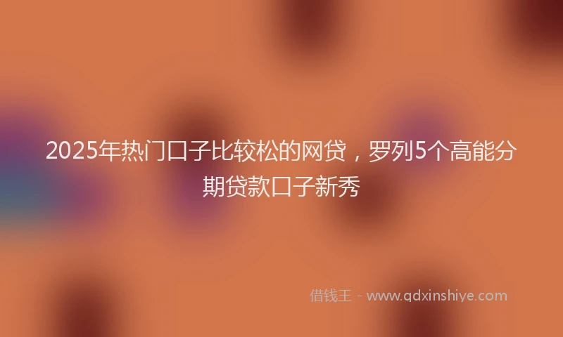 2025年热门口子比较松的网贷，罗列5个高能分期贷款口子新秀