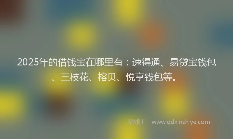 2025年的借钱宝在哪里有：速得通、易贷宝钱包、三枝花、榕贝、悦享钱包等。