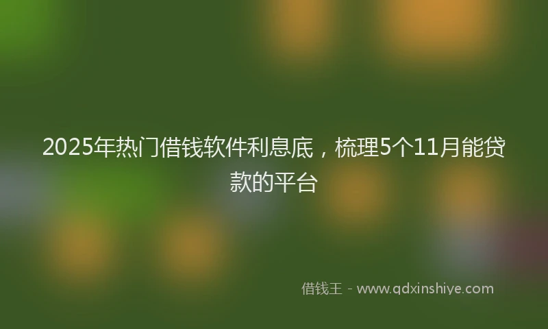 2025年热门借钱软件利息底，梳理5个11月能贷款的平台