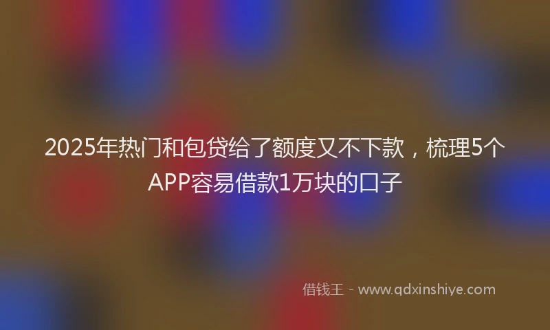 2025年热门和包贷给了额度又不下款，梳理5个APP容易借款1万块的口子