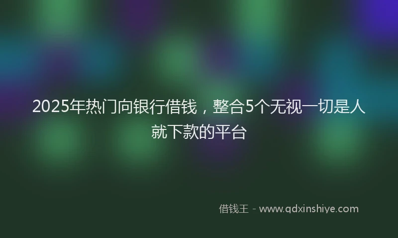 2025年热门向银行借钱，整合5个无视一切是人就下款的平台
