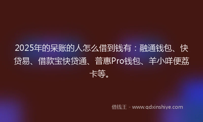2025年的呆账的人怎么借到钱有：融通钱包、快贷易、借款宝快贷通、普惠Pro钱包、羊小咩便荔卡等。